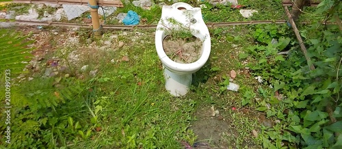 Quadro su tela Overgrown toilet bowl filled with greenery and debris outdoors plant growth natu
