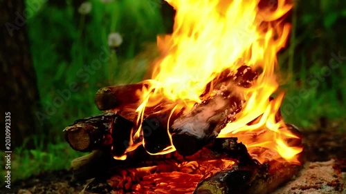 Close up of intense fire flames burning large charred firewood outdoors, real campfire with hot orange plasma, glowing embers and ash particles in summer forest, atmospheric stock footage for ASMR