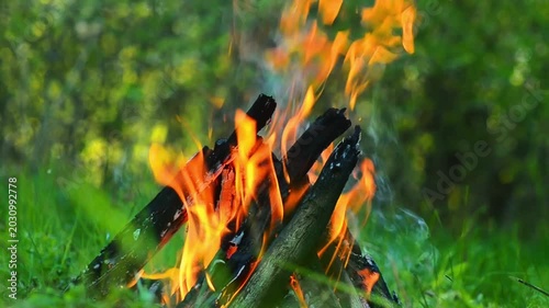 Close up of bright fire flames consuming dark charred firewood logs outdoors, real campfire burning in summer forest with high temperature and hot texture, atmospheric environmental stock footage 4K
