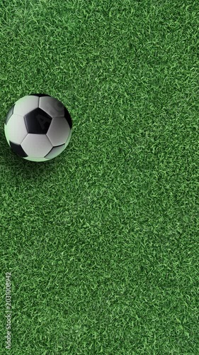 Vertical 3D soccer ball bouncing on grass field animation top view seamless loop — sport football social media background 9:16