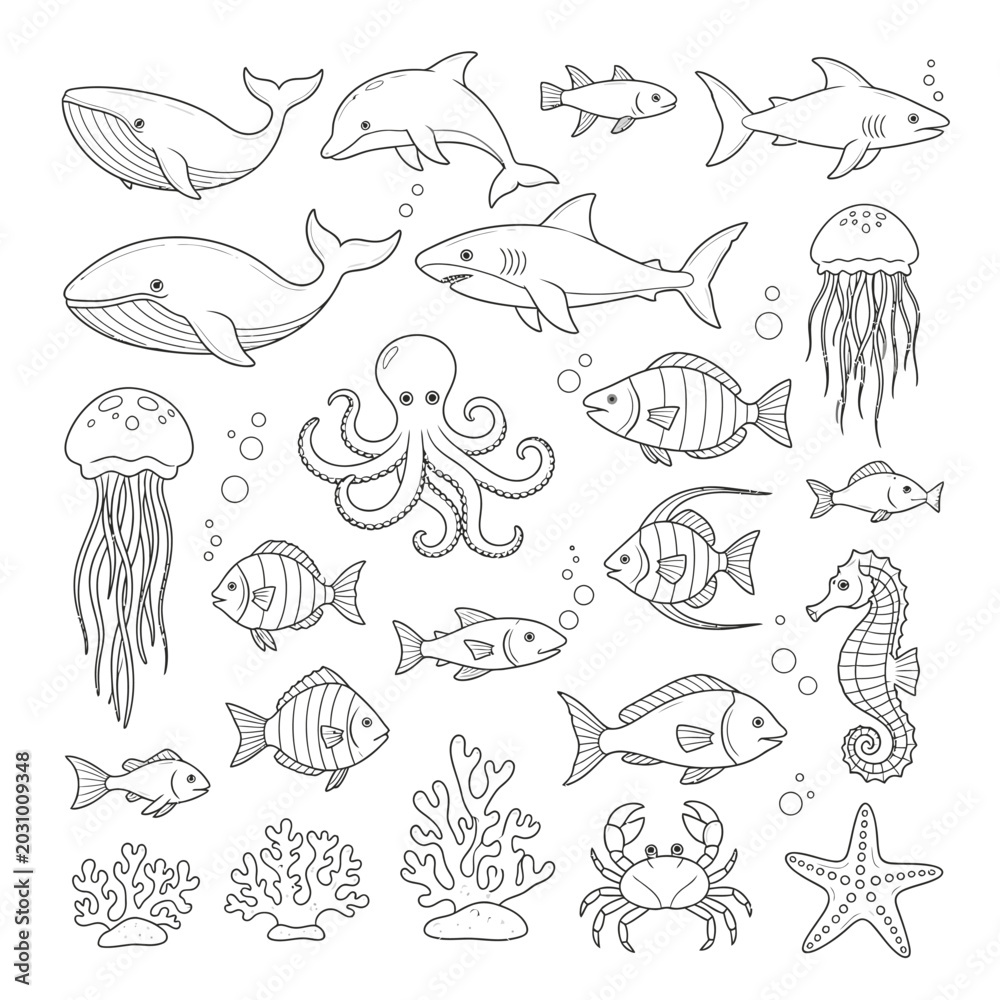 Fototapeta premium Collection of various sea creatures swimming.