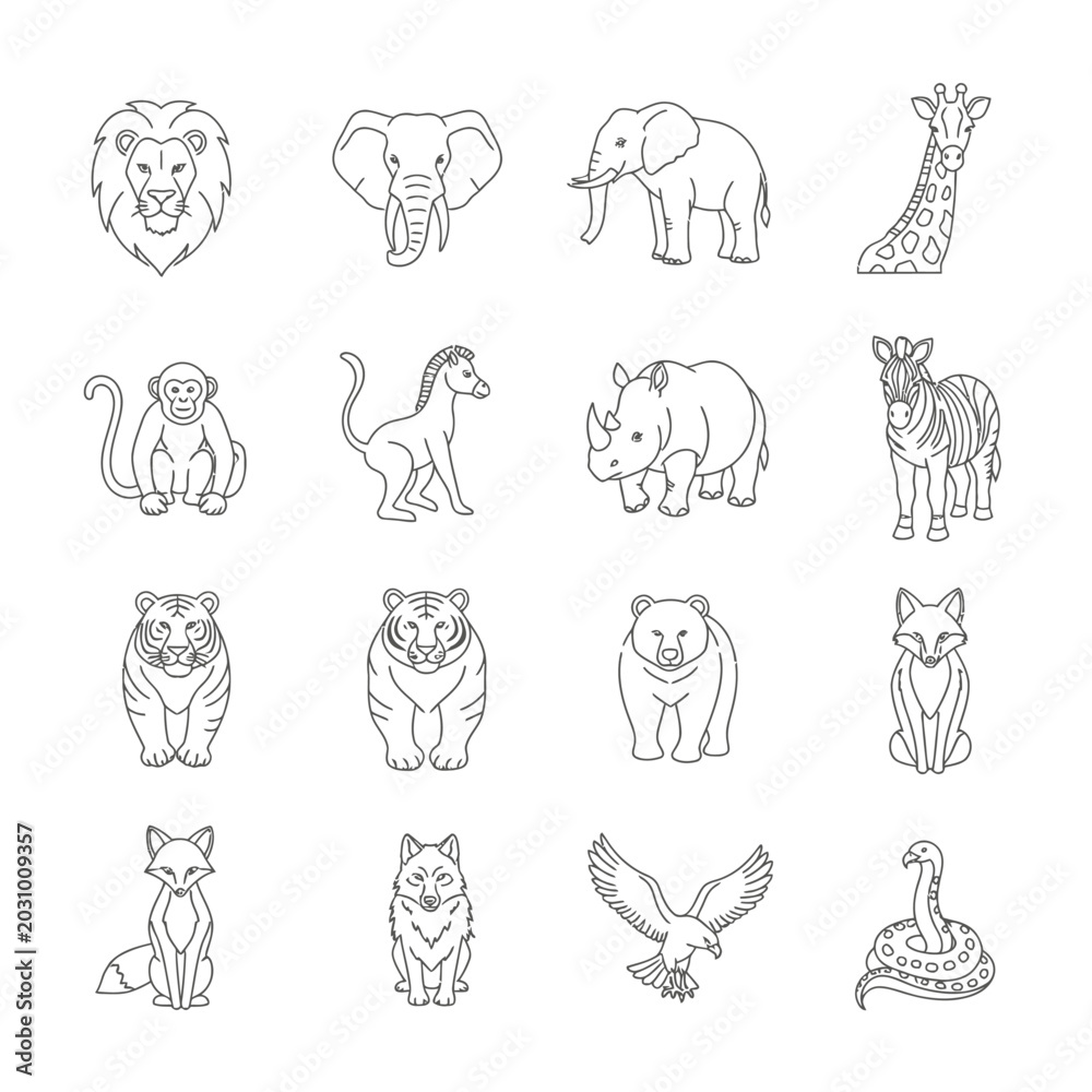 Obraz premium Collection of various wild animal drawings.