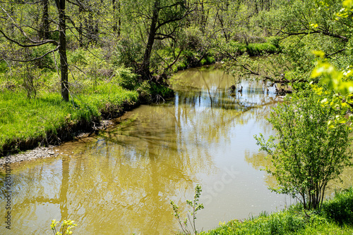 Photography View of Humber River flowing through Humber Arboretum in Toronto.