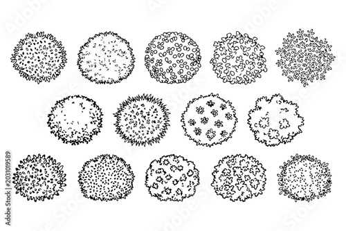 Bush Shrub Hatch Pattern Vector Set for Landscape Architecture CAD Texture Design