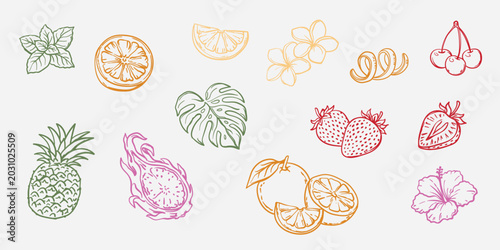 Hand-drawn tropical fruits and cocktail garnishes set, summer exotic ingredients line art icons collection. Hand drawn sketch icons of pineapple, orange, strawberry, cherry, lime slice