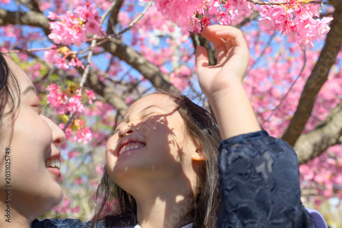 河津桜の下で笑い合う親子
