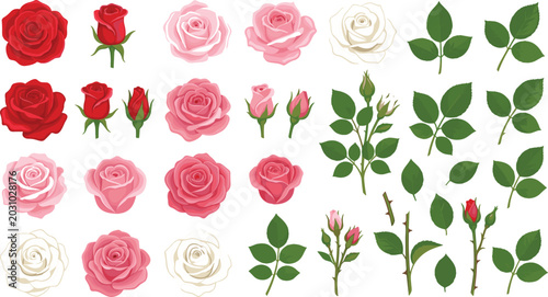 Billede på lærred Comprehensive vector illustration design set featuring individual realistic rose