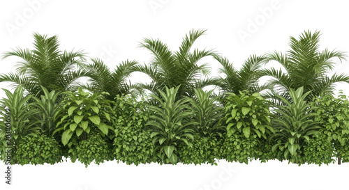 Fresh green bushes and garden hedge plants with detailed leaves for landscaping and design use