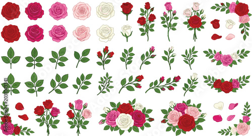 Bild auf Leinwand Comprehensive botanical set featuring hand drawn blooming rose heads buds leaf s