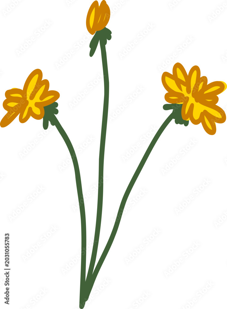 Obraz premium Dandelion Naive Drawn