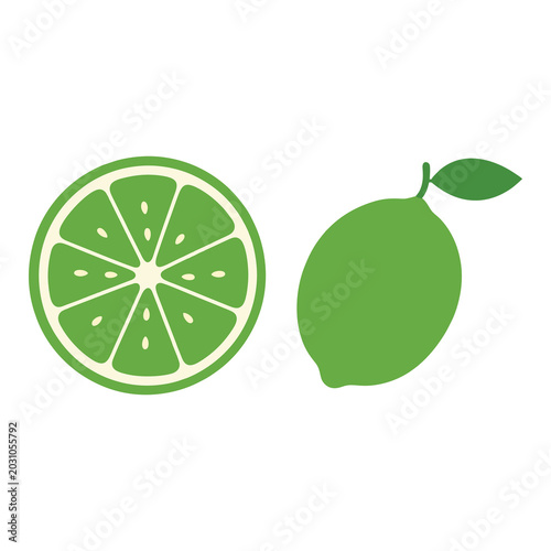 Tropical Lime Fruit Minimalist Flat Vector Illustration