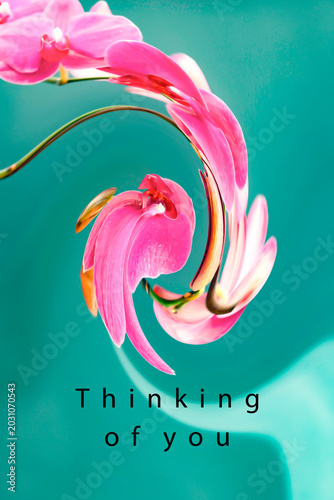 Pink orchid flowers with Thinking of You text on dark blurred background. Digital painting illustration. Gratitude and appreciation concept for design, greeting card, postcard, invitation and poster. 