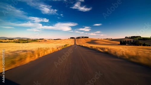 Scenic asphalt road winding through golden wheat fields in tuscany under a clear blue sky