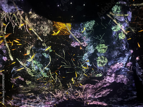 Εκτύπωση καμβά TOKYO, JAPAN - FEBRUARY 2026: Visitors experiencing an immersive digital art exhibition with glowing marine life and coral reef projections in a dark room