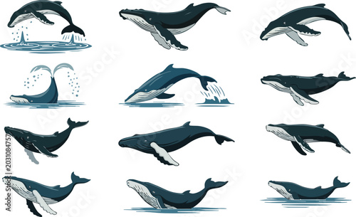 Photos Set of humpback whales in various poses including swimming, jumping, and spouting water from blowhole