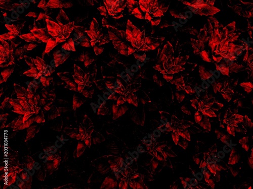 Photography Moody dark red leaves texture backdrop