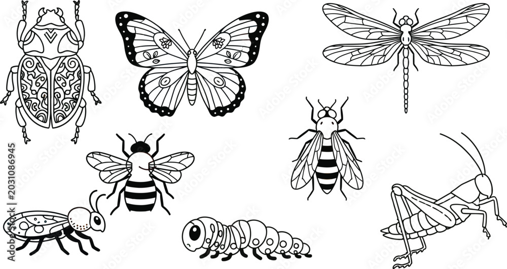 Obraz premium Insect line art vector illustration set with isolated black and white butterfly beetle dragonfly and bee coloring elementsInsect line art vector illustration set with isolated black and white butterfl
