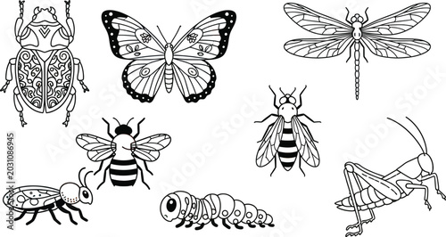 Foto Insect line art vector illustration set with isolated black and white butterfly
