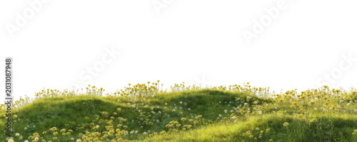 Panel kuchenny z motywem Flowering grassy meadow terrain with dandelions isolated on transparent background for landscape design asset. 3D rendering.