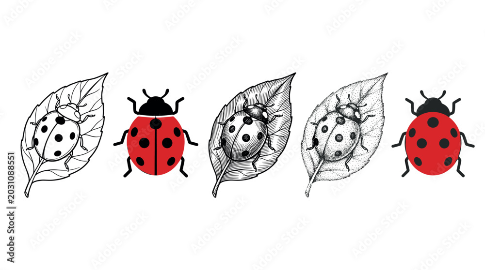 Fototapeta premium Ladybugs, ladybirds, and leaves illustrated in various artistic styles, showcasing different drawing techniques from flat design to detailed engraving and stippling.