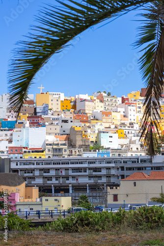 Vibrant urban landscape of Las Palmas with colorful traditional houses and a palm tree frame