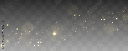Fotografia Floating golden dust lights shimmer beautifully across elegant abstract backgrounds