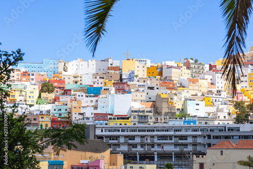 Colorful houses of the San Juan district framed by palm leaves in Las Palmas de Gran Canaria