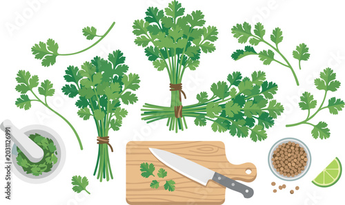 Schilderij op canvas Fresh Parsley Herb Collection with Cutting Board, Kitchen Knife, Mortar and Pest