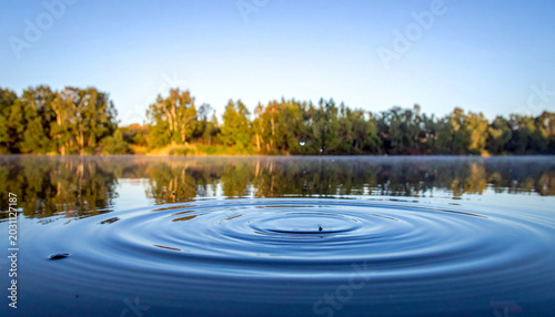Gentle ripples across clear pond water with trees on the opposite bank and cool blue skies. Ai