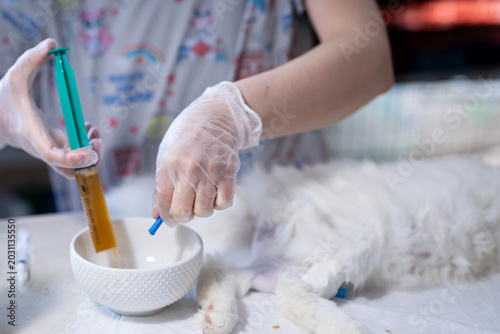 Photos Vet prepares medicine
