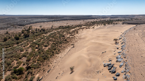 Tableau sur toile Aerial Drone Sand Dunes Green Scrubland Black Rocks Desert Plain Morocco