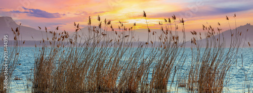 The shore of Lake Balaton on the Tihany peninsula. Hungary, Europe