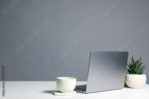 Stylish workplace. Laptop, cup and houseplant on white table against gray background. Space for text