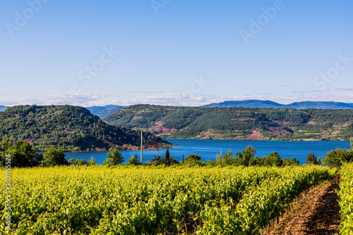 Bild auf Leinwand Vignes sur les bords du Lac du Salagou dans l'Hérault en France