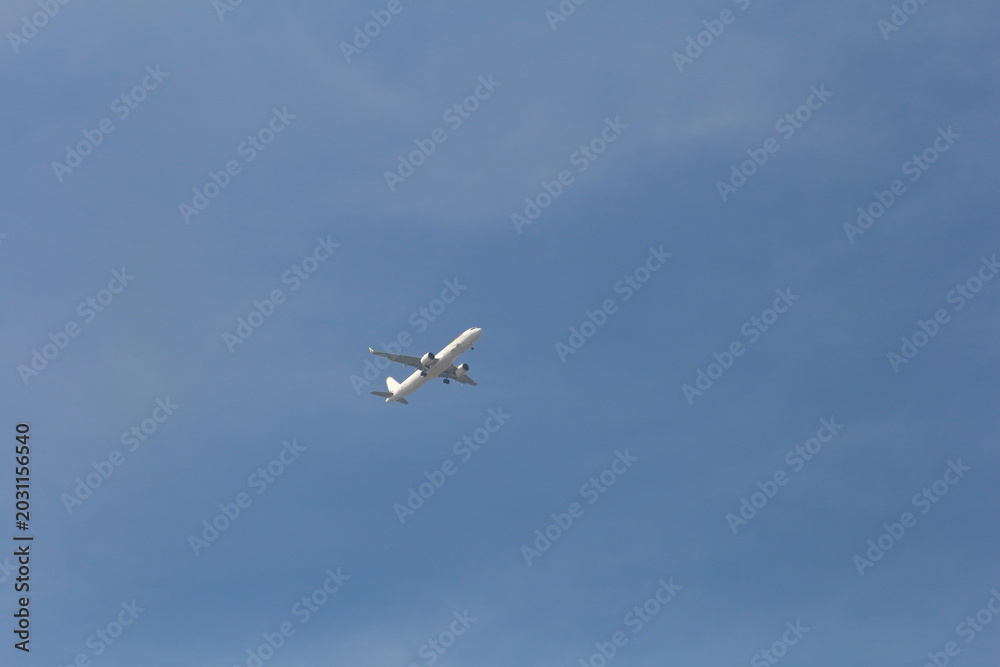 Fototapeta premium A plane flying in the sky