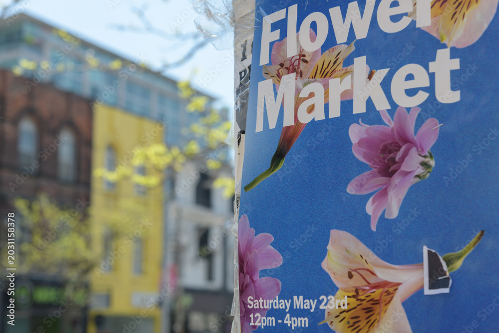 Naklejka premium paper poster in Toronto (Flower Market) on Queen St W