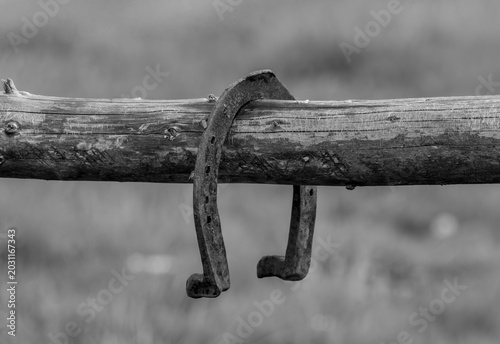 A black and white photograph of a rusty, antique horseshoe hooked over a weathered wooden fence