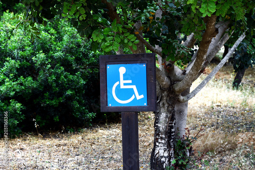Disabled parking sign in forest surrounded by trees and natural outdoor environment