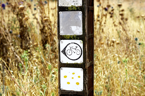 A wooden pole in the forest with signs about the purity of nature