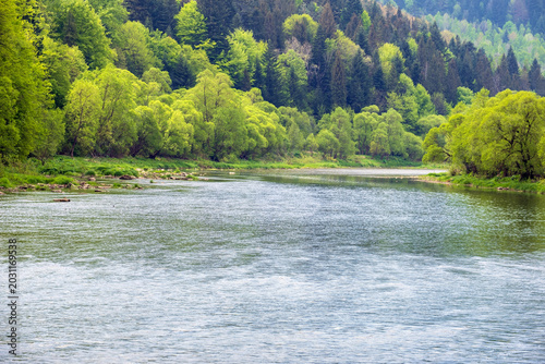 Spring picturesque river band view. Mountains scenery view behind (Stryi river near Skhidnytsya village, Ukraine.)