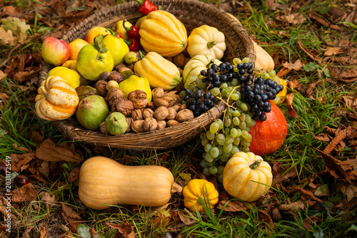 Foto Autumn harvest basket filled with gourds grapes pears walnuts pumpkins,nuts, gra