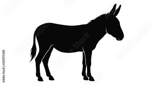Foto donkey silhouette on white background