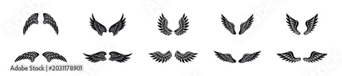 Tableau sur toile Bird wings with feathers vector flat set.