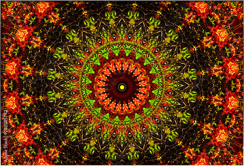 A wheel of colour and pattern, where red, green, and orange interlace through delicate lines, forming a mesmerising symmetry that seems to breathe and shimmer.