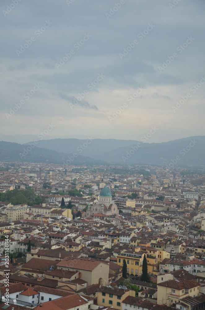 Naklejka premium Panoramic View of Florence Residential District and Synagogue Under Moody Sky, Italy