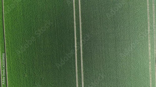 Aerial View of Green Cereal Field with Diagonal Tramline Pattern