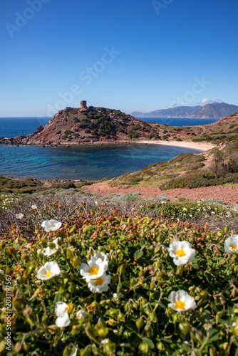 Spiaggia di Torre del Porticciolo, comune di Alghero, provincia di Sassari