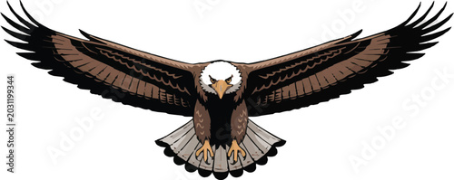 Tableau sur toile eagle flying frontal view detailed feather line art isolated vector