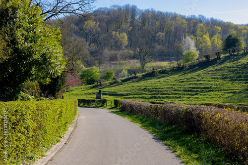 Tableau sur toile Spring landscape, The terrain of hilly and forest in Zuid-Limburg, Countryside road with lush green grass meadows and hills in between Wijlre and Gulpen-Wittem, Dutch province of Limburg, Netherlands