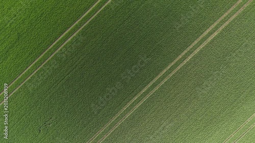Aerial View of Green Farmland Field with Diagonal Tractor Tracks